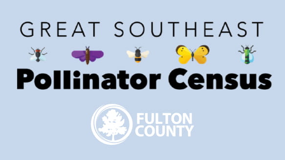 Pollinator Census