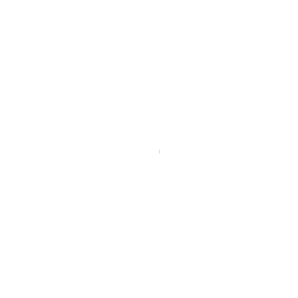 white logo for the Fulton County Sheriff's Office