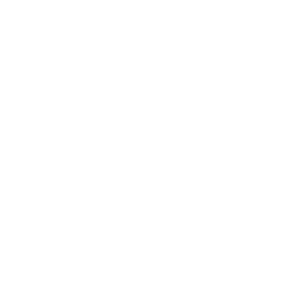 icon representing accountability court