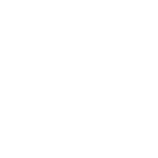 white icon representing voter ID