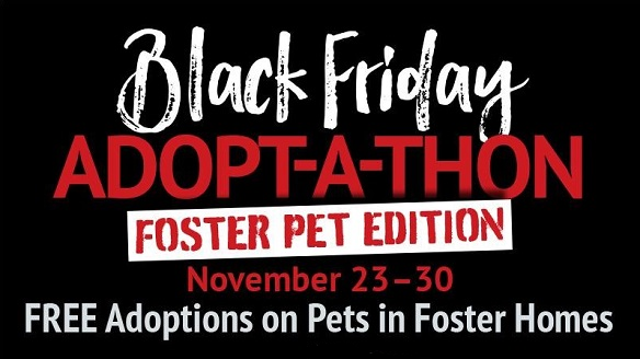 black friday foster