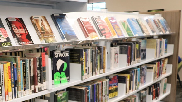 Library books on bookshelf