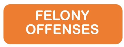 felony offenses